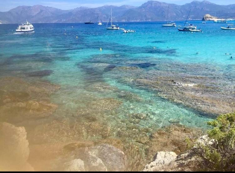 Villa Le Corail Rouge Corse Lecci Bagian luar foto