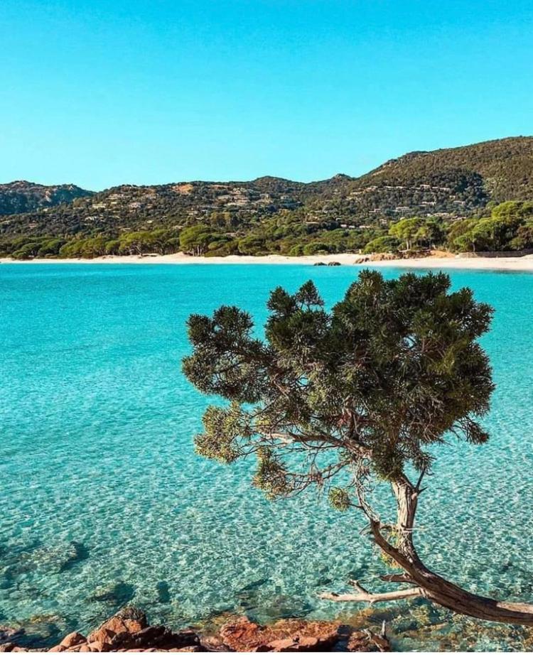 Villa Le Corail Rouge Corse Lecci Bagian luar foto