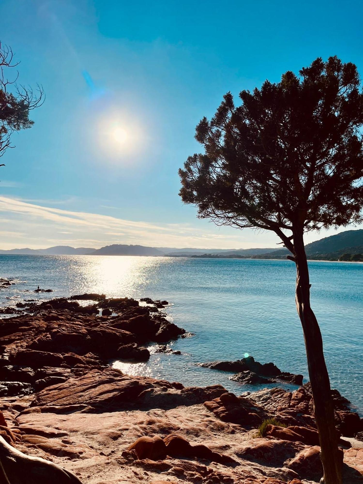 Villa Le Corail Rouge Corse Lecci Bagian luar foto